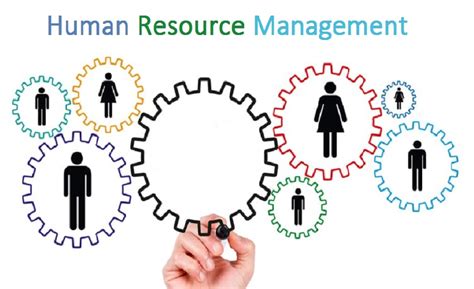 Human Resources and Organizational Management > Organization.